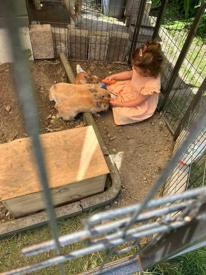 Tiere erleben – Kaninchen füttern